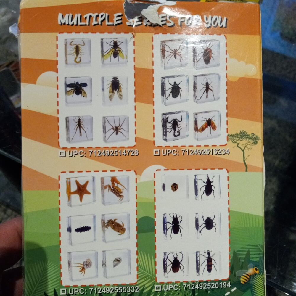 Bug Observation Set - Picture 2 of 2